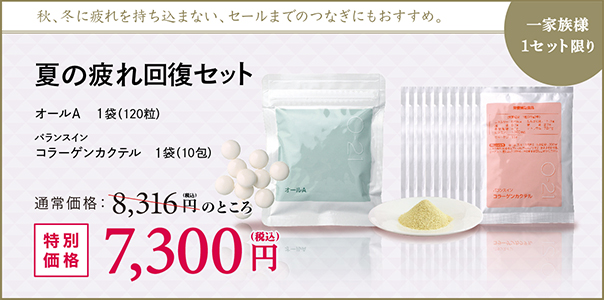 夏の疲れ回復セット