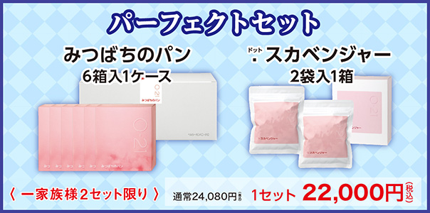 2月　パーフェクトセット