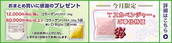 特別企画